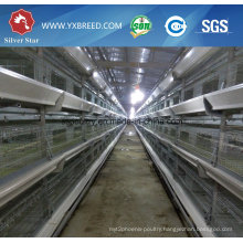 New Farm House Design Poultry Chicken Broiler Battery Cage